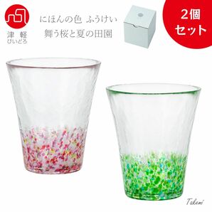 津軽びいどろ 日本の色風景 舞う桜、夏の田園 グラス２個セット 300ml 化粧箱入 日本製 ハイボール コップ 記念日 ギフト