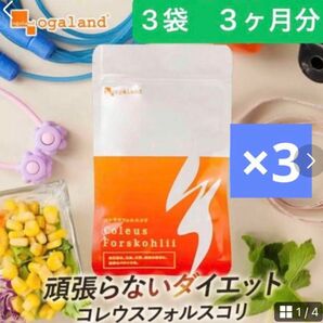 オーガランド　コレウス　フォルスコリ （約3ヶ月分） 燃焼系 ダイエット サプリ 食物繊維 便秘解消　フォースコリー