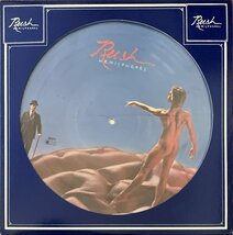 【アナログ】RUSH / HEMISPHERES（輸入ピクチャー盤LP）_画像1