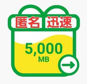 mineo パケットギフト 5GB（5,000MB）№2