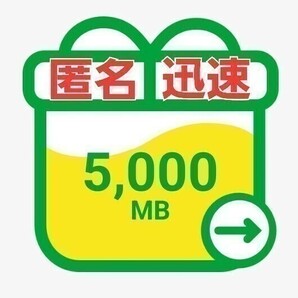 mineo パケットギフト 5GB（5,000MB）No.4の画像1