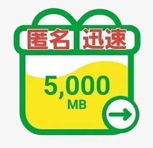 mineo パケットギフト 5GB（5,000MB）