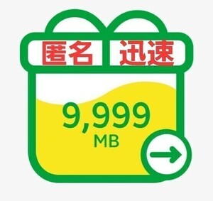 mineo パケットギフト 約10GB（9,999MB ＝ 約10,000MB）