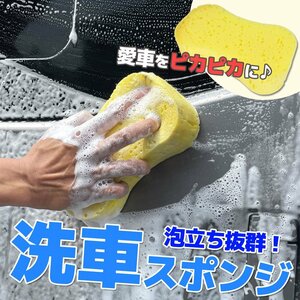 洗車スポンジ ウォッシュスポンジ 吸水力 泡 洗車グッズ 車 バイク オートバイ 大判サイズ 持ちやすい 洗車用品 室内 清掃用具