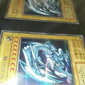 遊戯王 青眼の白龍 ブルーアイズ 海馬セット 遊戯王カード トレカの画像2
