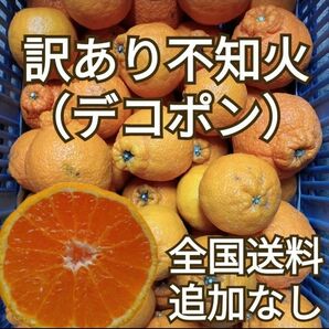 訳あり不知火　箱込み4.5kg　デコポン　みかん　柑橘類