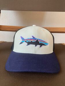 Patagonia Cap Fitz Roy Tarpon Trucker