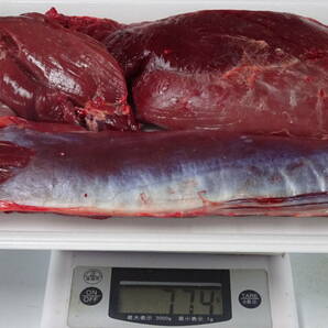 天然鹿肉 捕れたて鹿肉  背ロース肉 その他  ７７４ ｇ  同梱可能の画像1