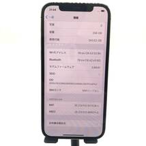 【美品】 iPhone XR 128GB コーラル SIMロックなし_画像4