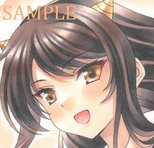  same person hand-drawn illustrations [ Suzumiya Haruhi no Yuutsu * Suzumiya Haruhi / Ram costume ]