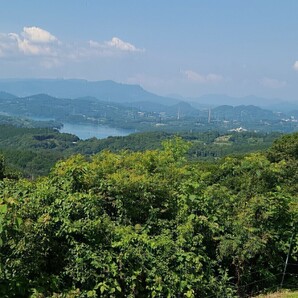 ☆宝石のように輝くプレミアム ベリ～農園直送★最速お届け《約2～3L玉》絶対新鮮!まとめ買いお得！一番売れてます☆☆☆の画像5