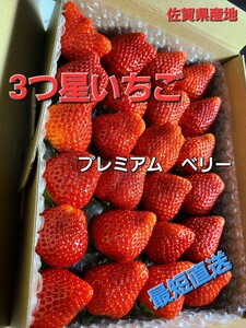 春のプリンセス☆プレミアム～ベリー◎最短到着→農園直送☆抜群の鮮度とおぃしさの大粒《約4L》☆佐賀県イチゴ～田舎村産地★地域指定栽培