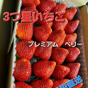 熟れ☆プレミアム～ベリー◎最短到着→農園直送☆抜群の鮮度とおぃしさの大粒《約4L》☆佐賀県イチゴ～田舎村産地★地域指定栽培の画像1