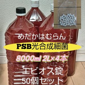 PSB光合成細菌8000ml（2L×4本）+エビオス錠50個