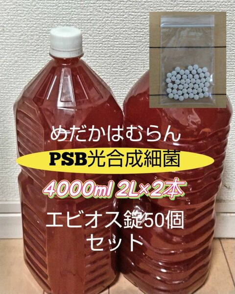 PSB光合成細菌4000ml（2L×2本）+エビオス錠50個