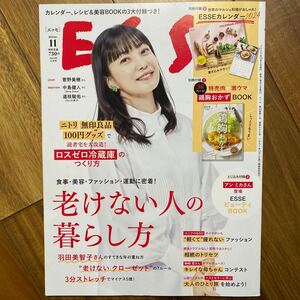 ＥＳＳＥ（エッセ） ２０２３年１１月号 （扶桑社）付録無　管理番号A1596