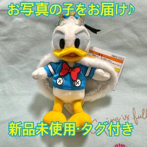 東京ディズニーランド　パルパルーザ　ドナルド　クワッキーダックシティ　ぬいぐるみバッジ