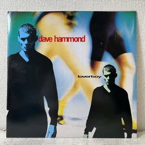 美盤 LP / Dave Hammond / Loverboy / TRD-1166 の画像1