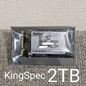 2TB 内蔵型 SSD KingSpec M.2 NT-2TB intel