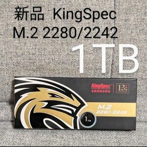 1TB 内蔵型 SSD KingSpec M.2 2280 2242 intel