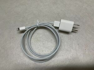  free shipping Apple original charger lightning cable AC adapter iPhone