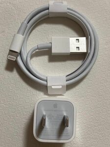 Apple純正品質電源アダプター充電器と1本iPhoneライトニングケーブル