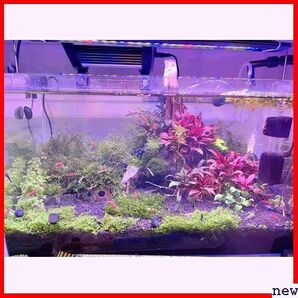 Spectra 槽と両方の繁殖水生植物淡水と海洋水族館タンクIPL-50 LED水族館ライト水槽ライト水生植物ラ 363の画像8
