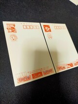 【未使用】平成7年 平成10年 年賀はがき　郵便はがき　50円はがき　1995年 1998年　合計2枚　年賀ハガキ 額面100円_画像4