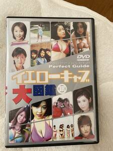 イエローキャブDVD3枚セット　中古