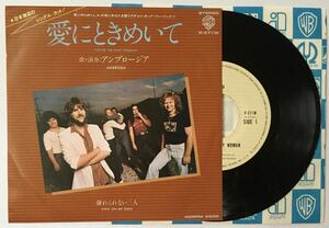 アンブロージア 愛にときめいて シングル レコード EP 国内盤 Ambrosia You're The Only Woman P-571W