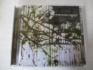 BT S5 送料無料◇fall down the deeper underground DI3SIRAE　◇中古CD　