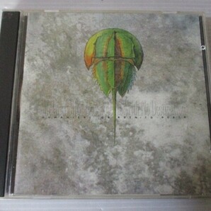 BT l4 送料無料◇Z.O.A Melancholiac Composers With No Destination ◇中古CD の画像1