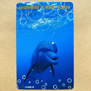 [ used ] highway card Japan road .. dolphin 