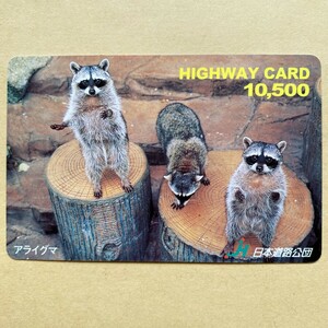 [ used ] highway card Japan road .. racoon 