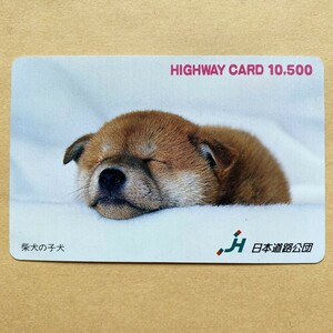 [ used ] highway card Japan road ... dog. . dog 