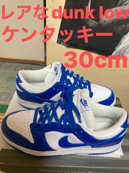 レアなdunk lowケンタッキー30cm