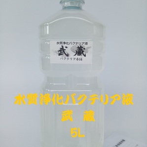 【バクテリア本舗 本店】武蔵 [5L]高濃度水質浄化バクテリア液(らんちゅう,めだか,グッピー,金魚,錦鯉,シュリンプ,熱帯魚,海水魚）の画像1