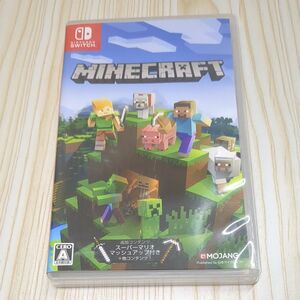 Minecraft マインクラフト Switch