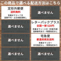 新ダイワ SSR242 エアクリカバー 内側 刈払機 草刈機 芝刈り機 部品パーツ_画像3