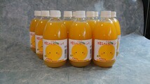 セール特価！愛媛県産果汁１００％甘夏みかんストレートジュース専用500㎜×１２本_画像2