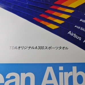 TDA 東亜国内航空 ポスター ヨーロピアン・エアバス A300 幹線 プレゼントキャンペーン 日本国内航空 東亜航空 日本エアシステム 航空会社の画像5