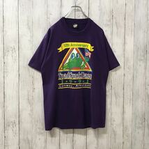 90s スクリーンスターズ USA製 アメリカ古着 カエル プリント 半袖Tシャツ L_画像2