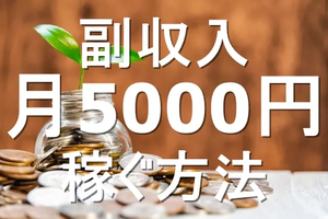 ヤフオクで日の利益5000円　毎日会社員並みに稼げる方法論　お客が多く誰でも達成出来るビジネス手法