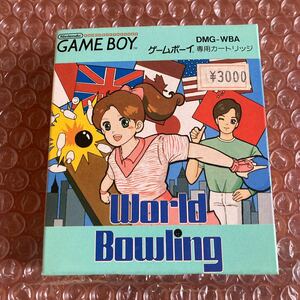  unused [ world bo- ring ]GB gb nintendo Nintendo Game Boy GAME BOY dead stock stock goods 