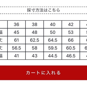  THE REAL McCOY'S リアルマッコイズ BUCO J-24 / COMBINATION TANNED ホースハイド 馬革 ダブルライダースジャケット サイズ38 BJ19003の画像3