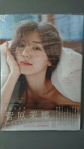 SKE48 菅原茉椰 1st写真集 シャッターチャンス セブンネット限定表紙 新品未読