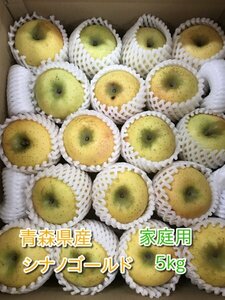 青森県産りんご「シナノゴールド」家庭用 約5kg【フルーツキャップ】