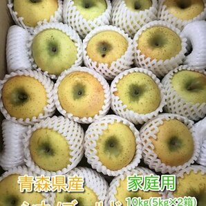 青森県産りんご「シナノゴールド」家庭用 約10kg(5kg×2箱)【フルーツキャップ】②の画像1