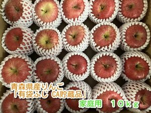 青森県産りんご「有袋ふじ」家庭用 約10kg 【クール便 フルーツキャップ CA貯蔵】