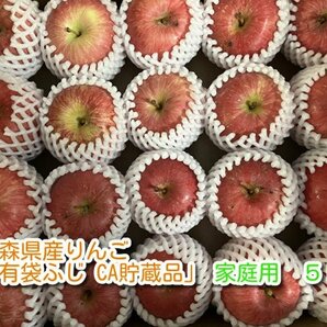 青森県産りんご「有袋ふじ」家庭用 約5kg 【クール便 フルーツキャップ CA貯蔵】の画像1